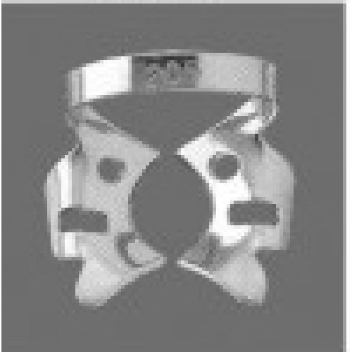 DS-10421